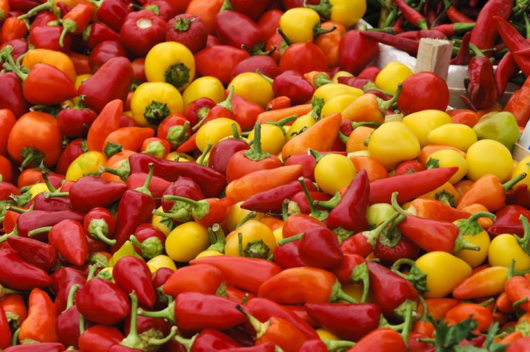 the-best-mexican-food-will-include-these-tasty-vegetables-talavera