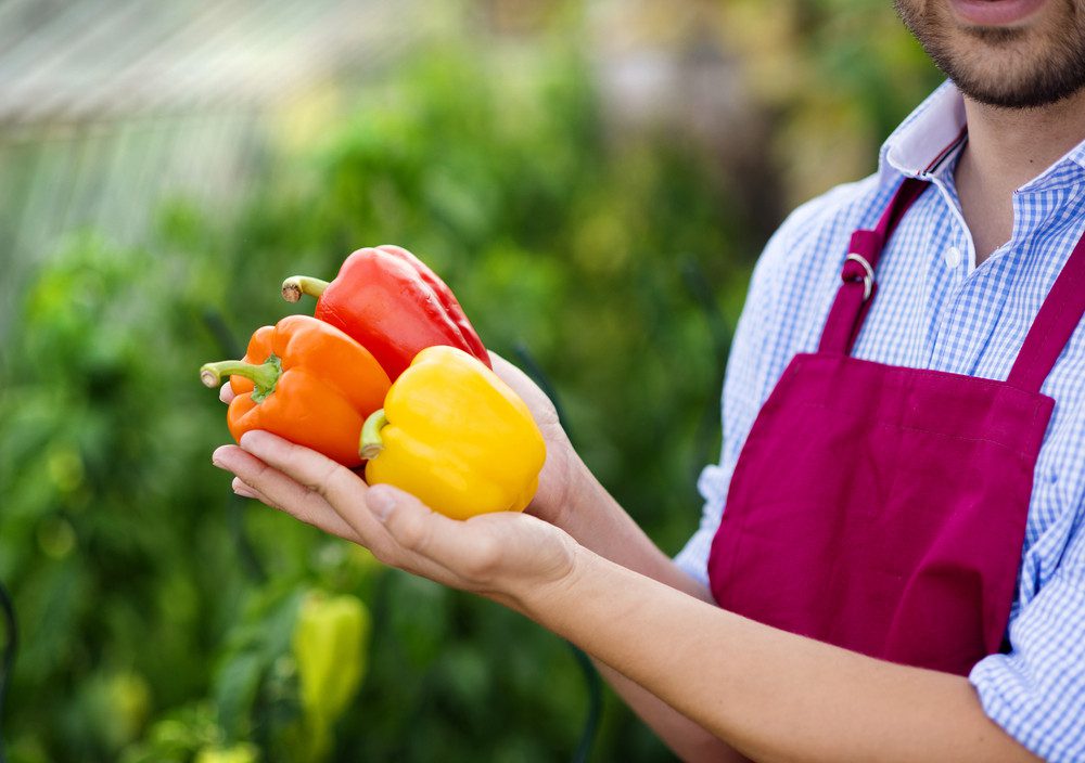 authentic mexican food